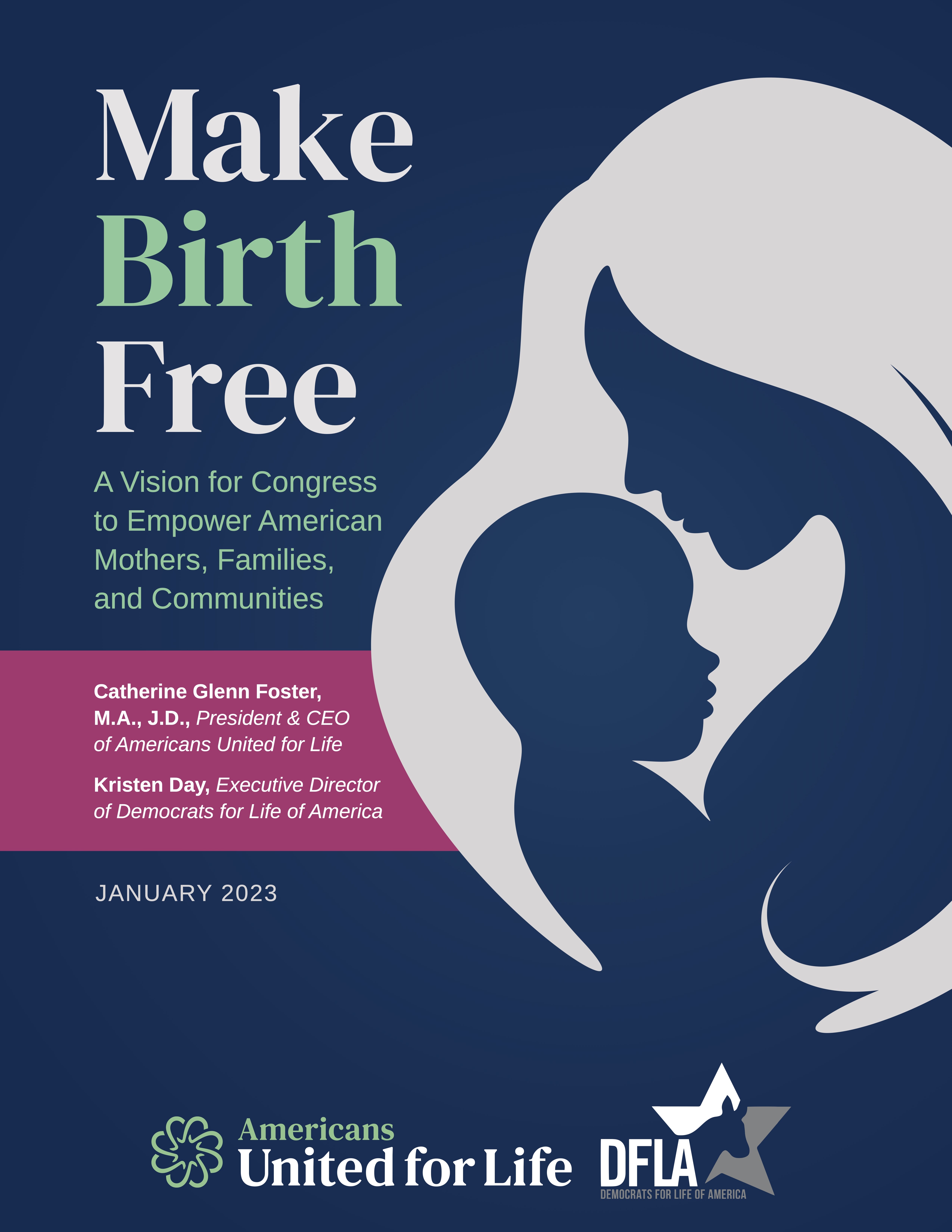 Make Birth Free: A Vision For Congress To Empower American Mothers ...