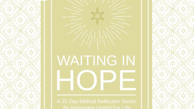 Cover for pro-life advent devotional.